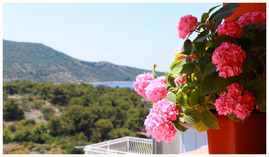 Villa Marica Primošten Exterior foto
